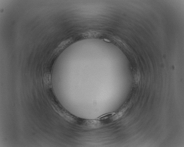 X0000073440429200608251645