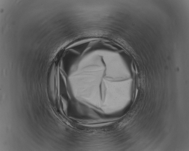 X0000073440434200608251644