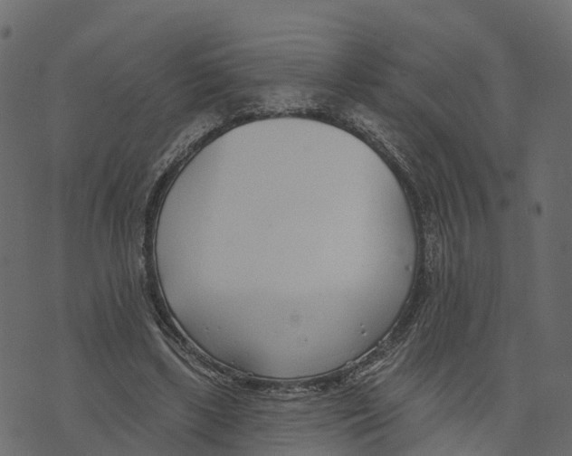 X0000073440443200608251645
