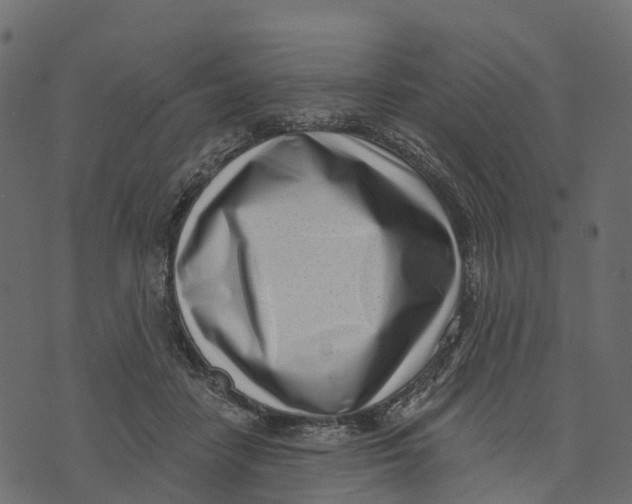 X0000073440458200608251645