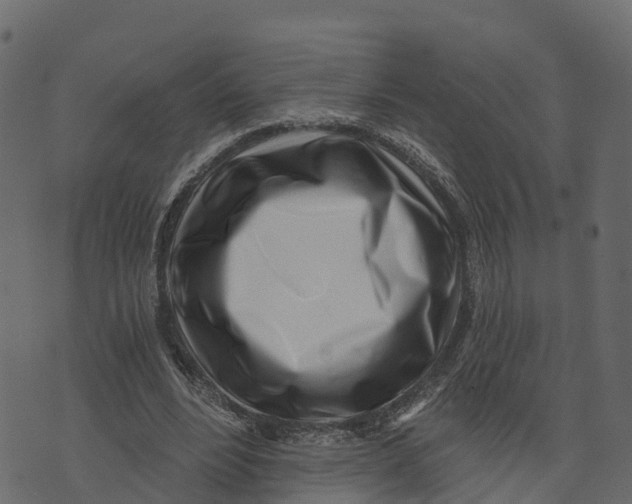 X0000073440488200608251644