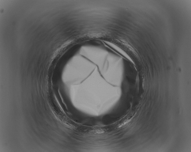 X0000073440492200608251644