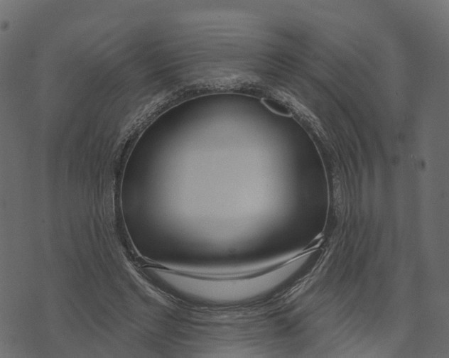 X0000073440493200608251644