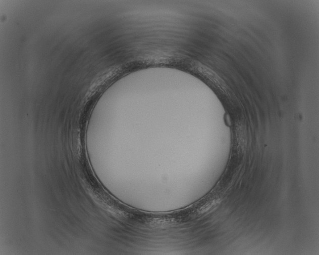 X0000073440494200608251644