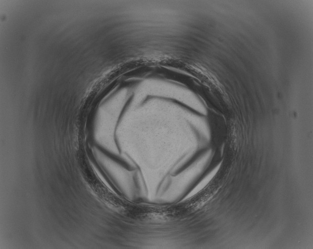 X0000073440496200608251644