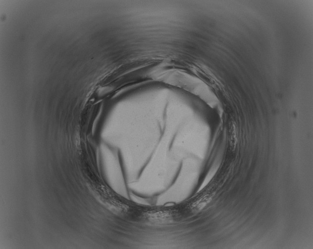 X0000073440500200608251644