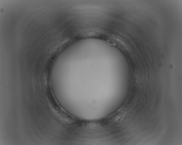 X0000073440546200608251643