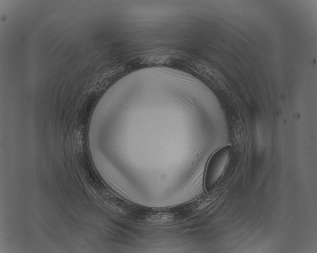 X0000073440551200608251643