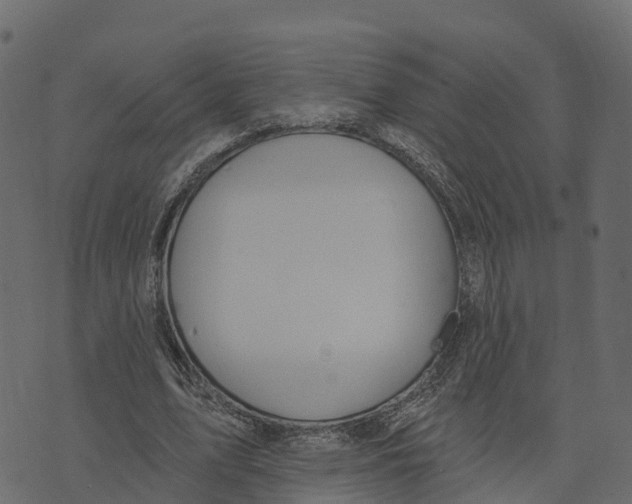 X0000073440583200608251643