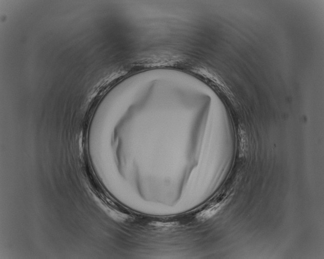 X0000073440590200608251643