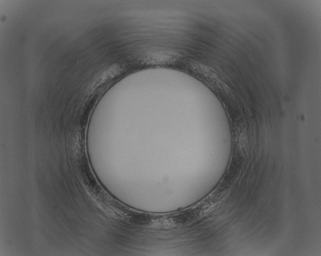 X0000073440591200608251643