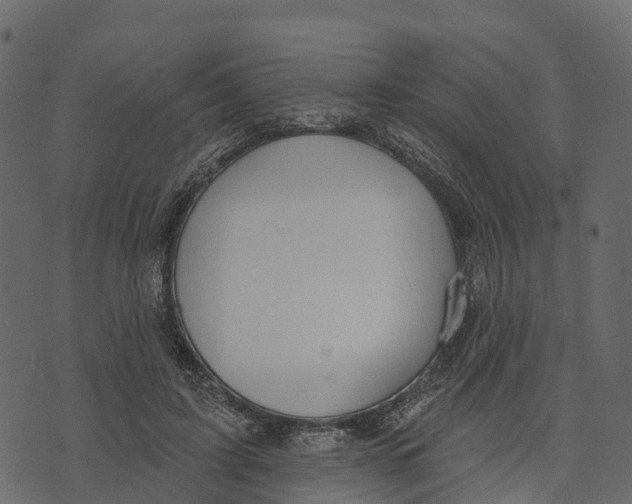 X0000073440595200608251642