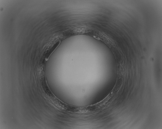X0000073440601200608251642