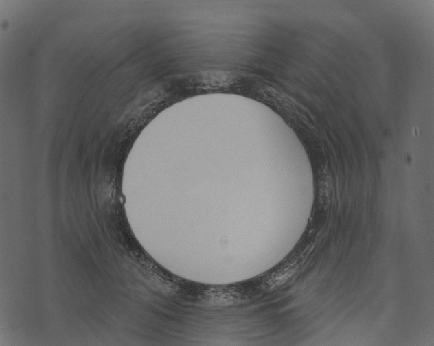 X0000073440608200608251642