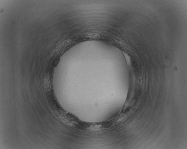 X0000073440609200608251642