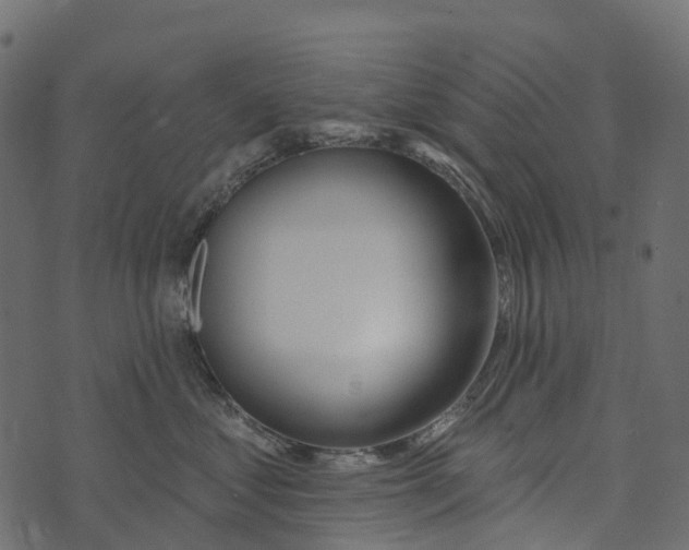 X0000073440621200608251642