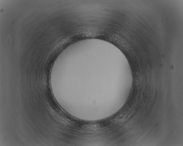 X0000073440639200608251641