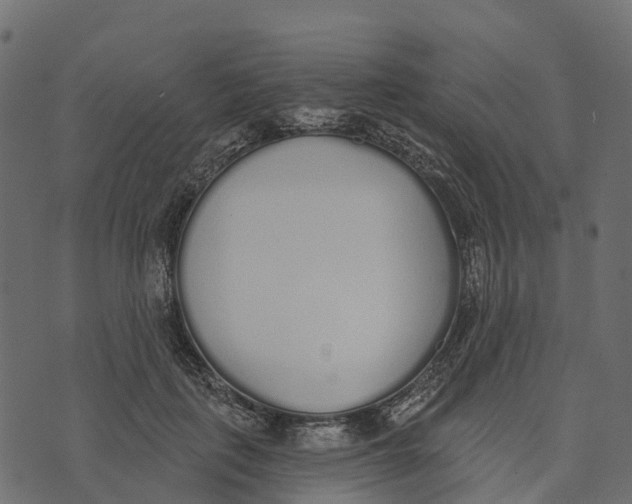 X0000073440651200608251642