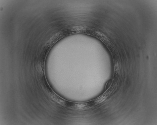 X0000073440662200608251642