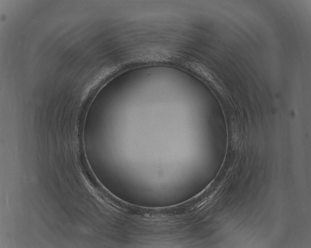 X0000073440677200608251641