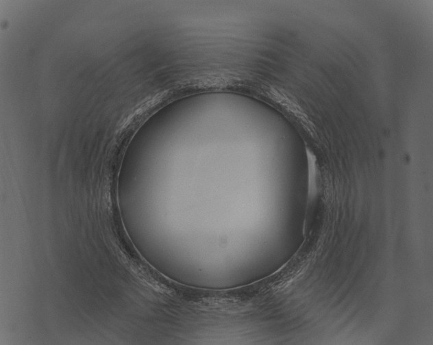 X0000073440681200608251641