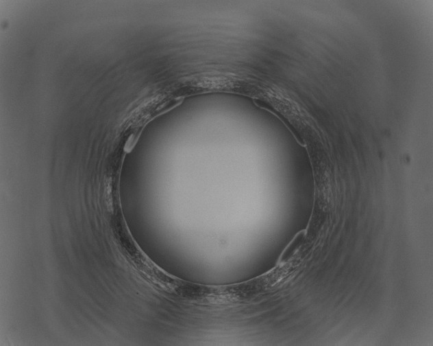 X0000073440696200608251641