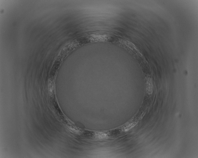 X0000073440701200608251641