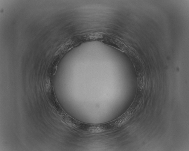 X0000073440704200608251641