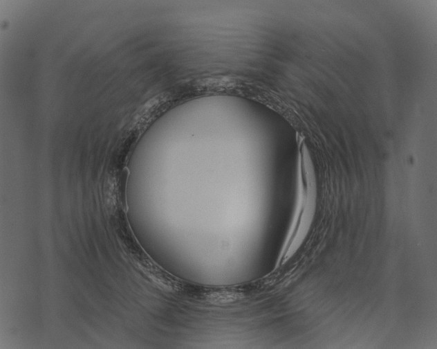 X0000073440708200608251641
