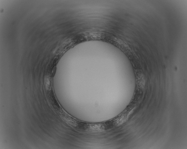 X0000073440709200608251641