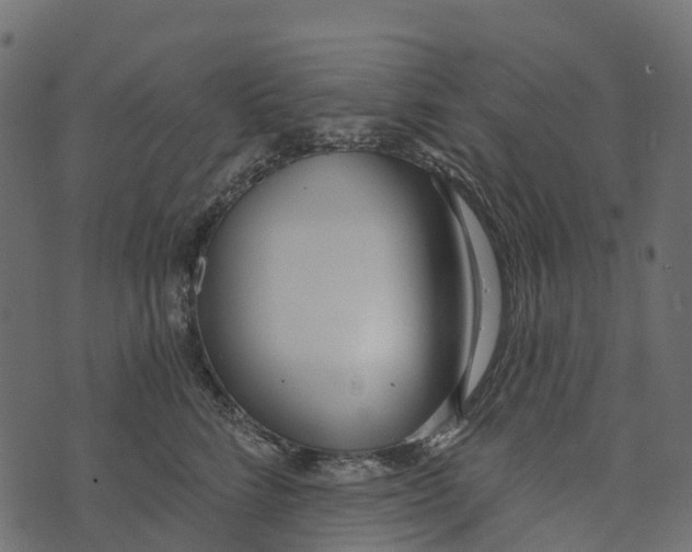 X0000073440712200608251641