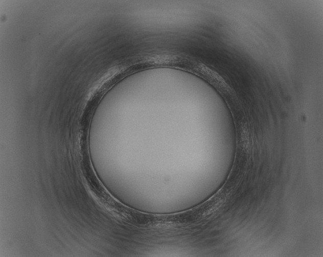 X0000073440730200608251640