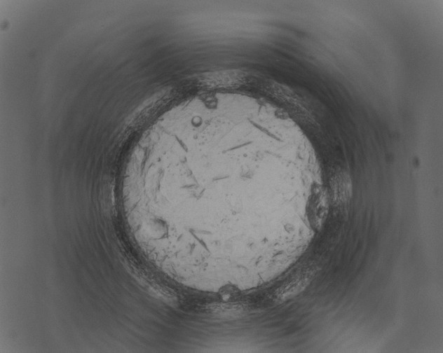 X0000073440733200608251640