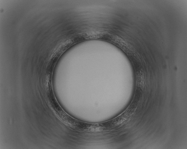 X0000073440742200608251640