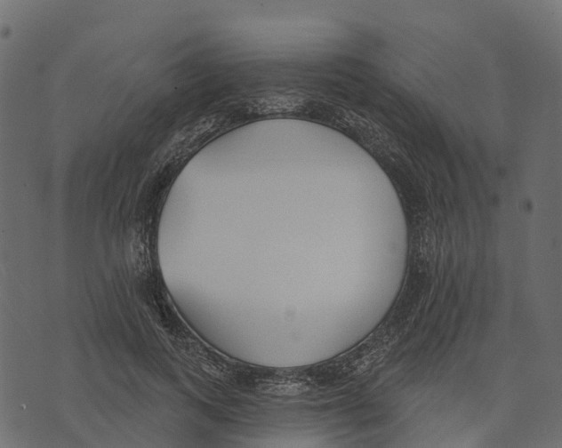 X0000073440743200608251640