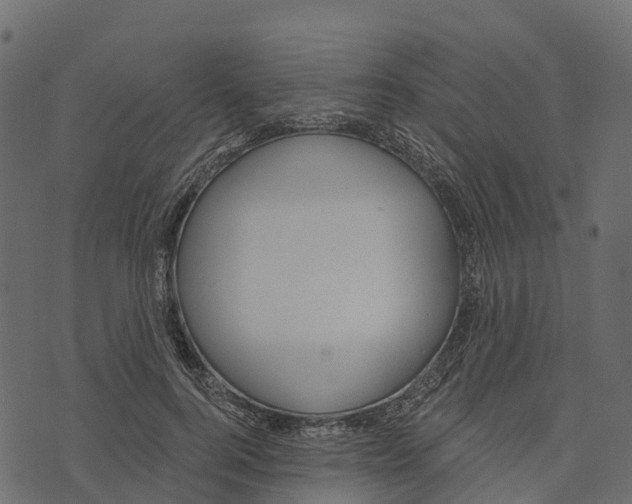 X0000073440744200608251640