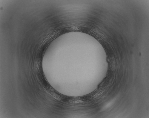 X0000073440747200608251640