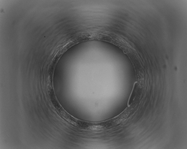 X0000073440748200608251640