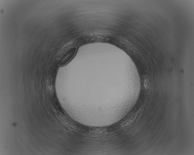 X0000073440771200608251640