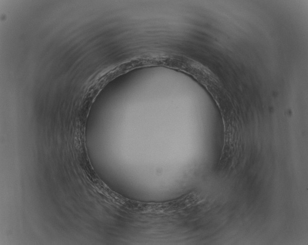 X0000073440773200608251640