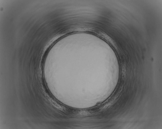 X0000073440787200608251639