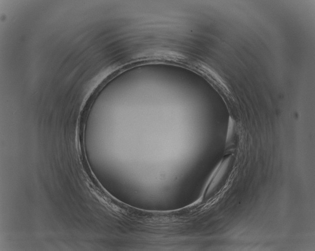 X0000073440788200608251639