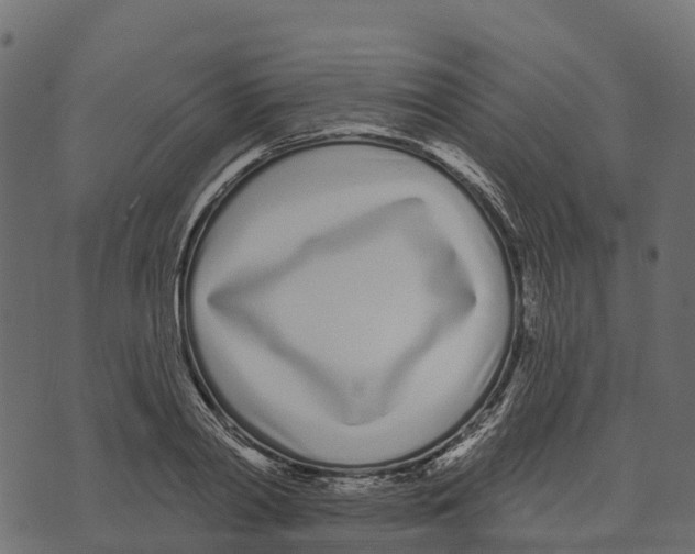 X0000073440790200608251639