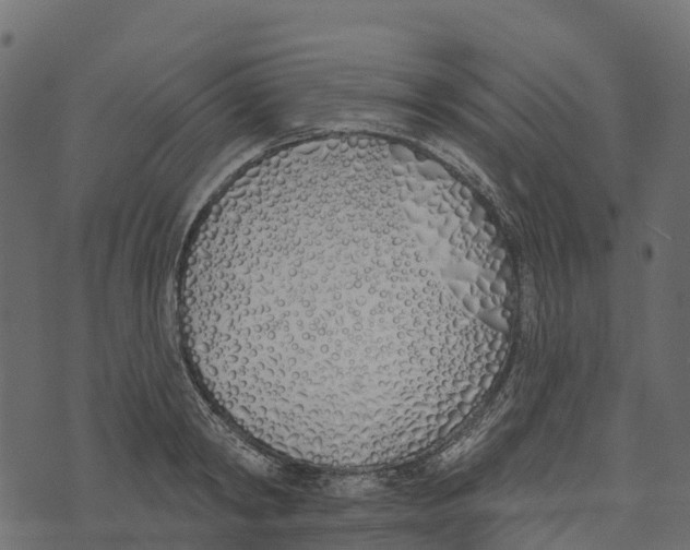 X0000073440798200608251639