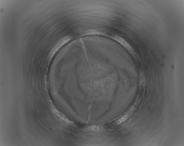 X0000073440806200608251639