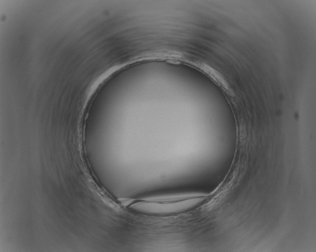 X0000073440854200608251639