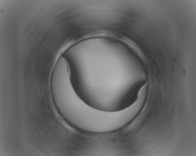 X0000073440858200608251639
