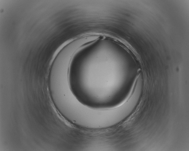 X0000073440862200608251639