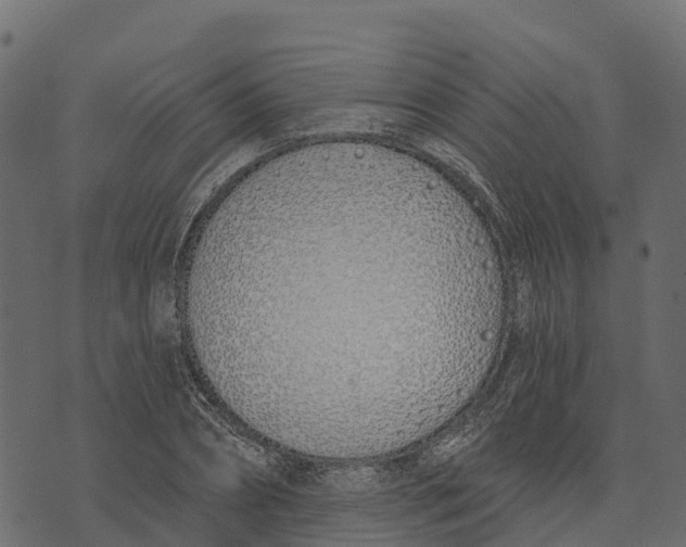 X0000073440882200608251638