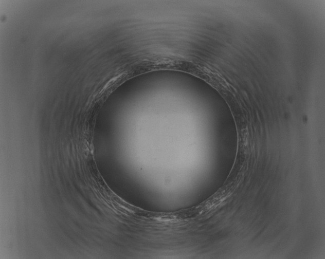 X0000073440916200608251637